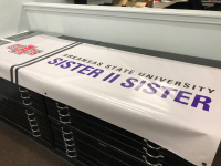 Sister to Sister Printed Banner.jpg